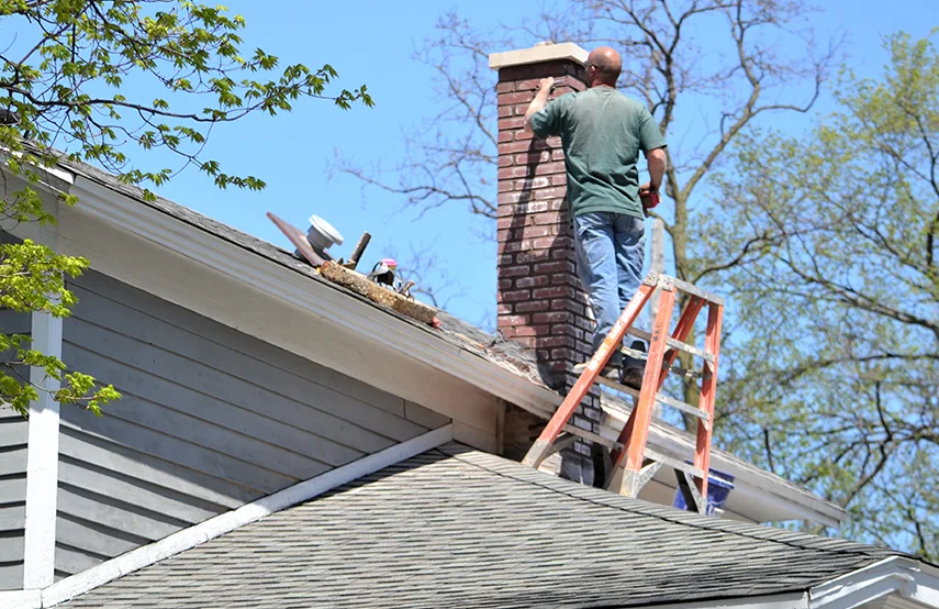 Chimney & Fireplace Inspections Services in Golden Valley, MN